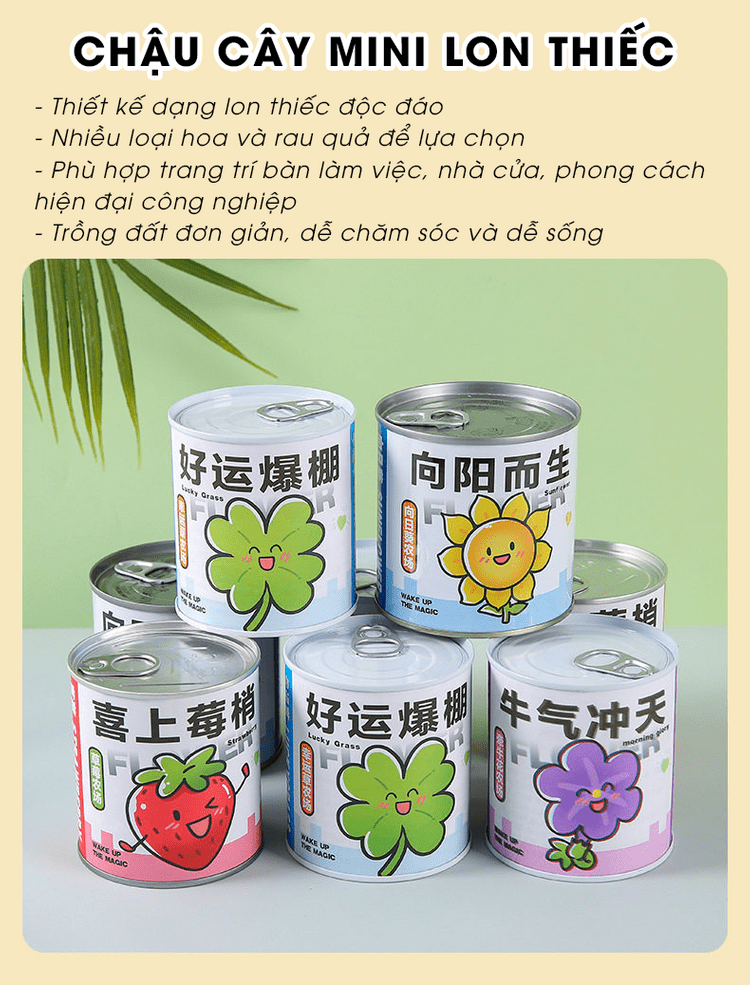 Landing QCstore 2 20260513024802 9kcdv