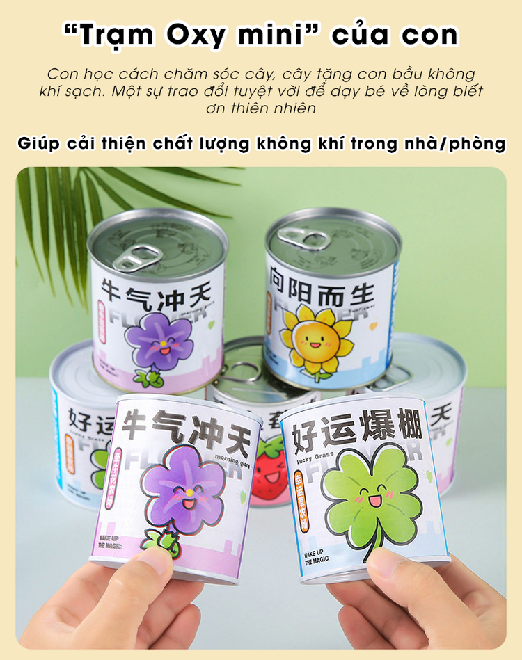 Landing QCstore 5 20260513041318 6nput