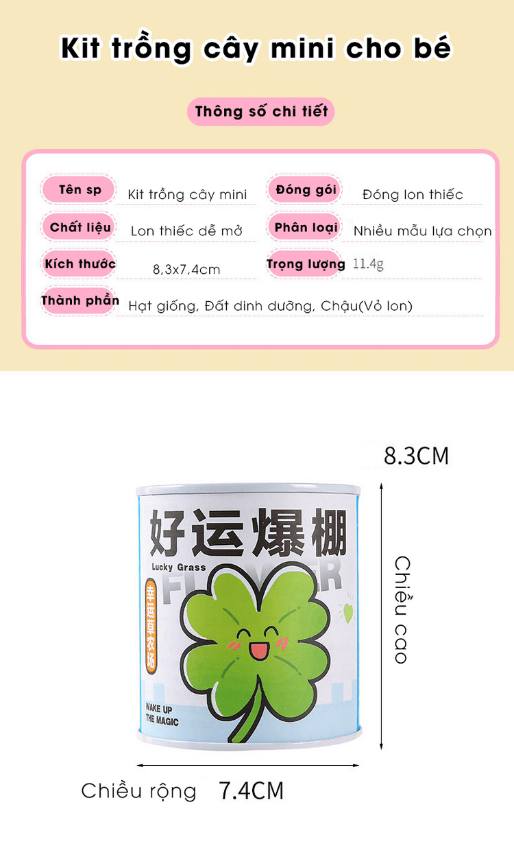 Landing QCstore 7 20260513050946 R Xew